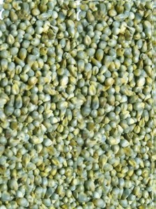 Green Millet